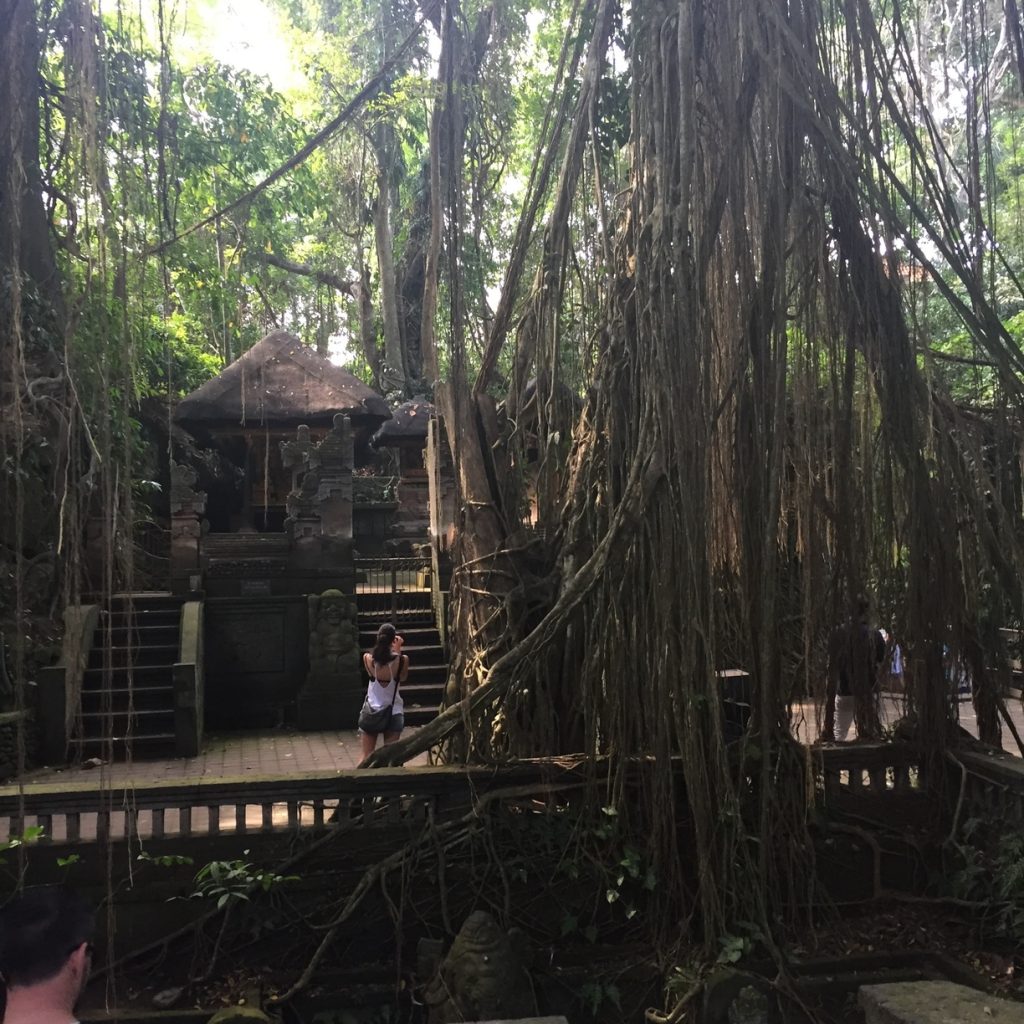 If you're looking for the right temple run meets Indiana Jones-esque vibe, the Monkey Forest is your place!