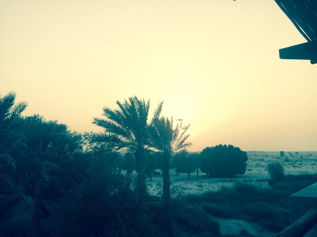 Isn't that just gorgeous?|Bab Al Shams