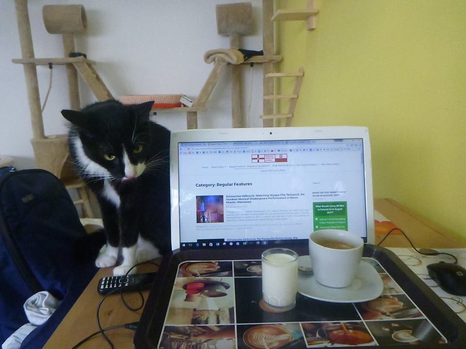 Cat & computers