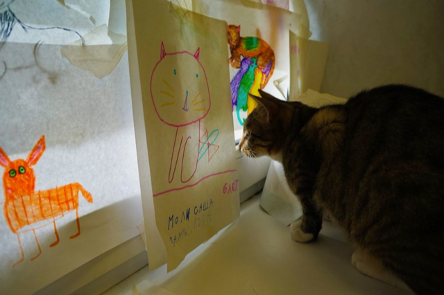 One of the cat cafes around the world in Minsk, Belarus|Cat looking at drawing of a cat