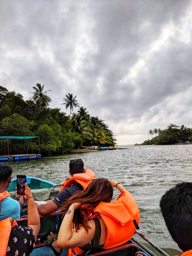 Gliding through the backwaters