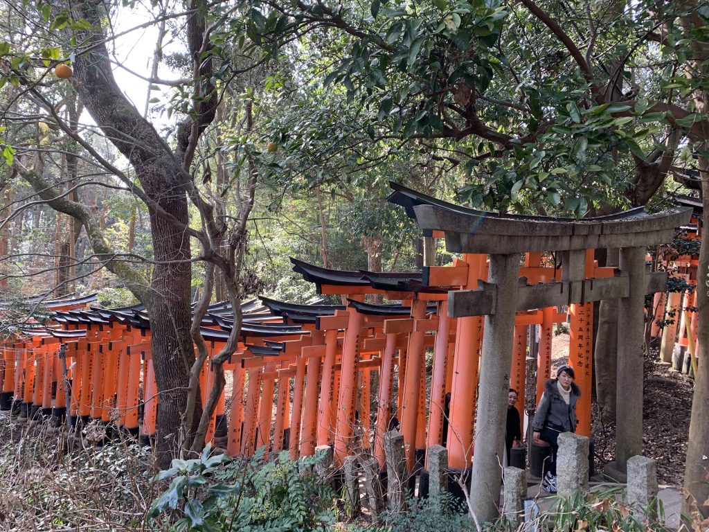 Kyoto 2 day itinerary | Fushimi Inari